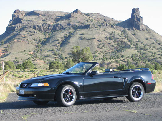 black gt
