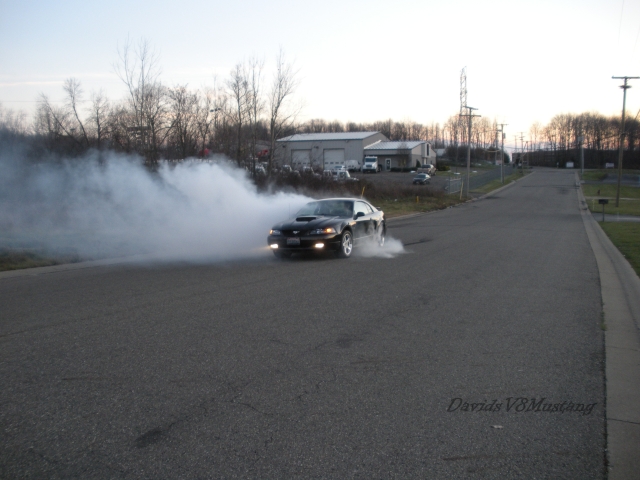 davidsv8mustang