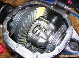 The guts of the matter