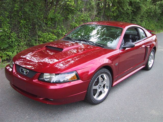 Image courtesy of nationalmustang.com Image courtesy of nationalmustang.com