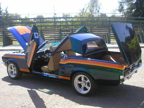 Wild Pony Mustang