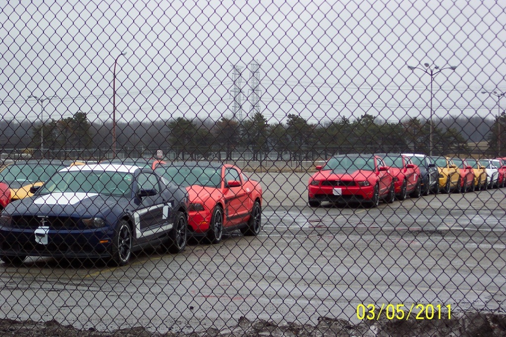 Boss820110305.jpg