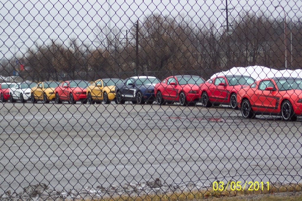 Boss920110305.jpg