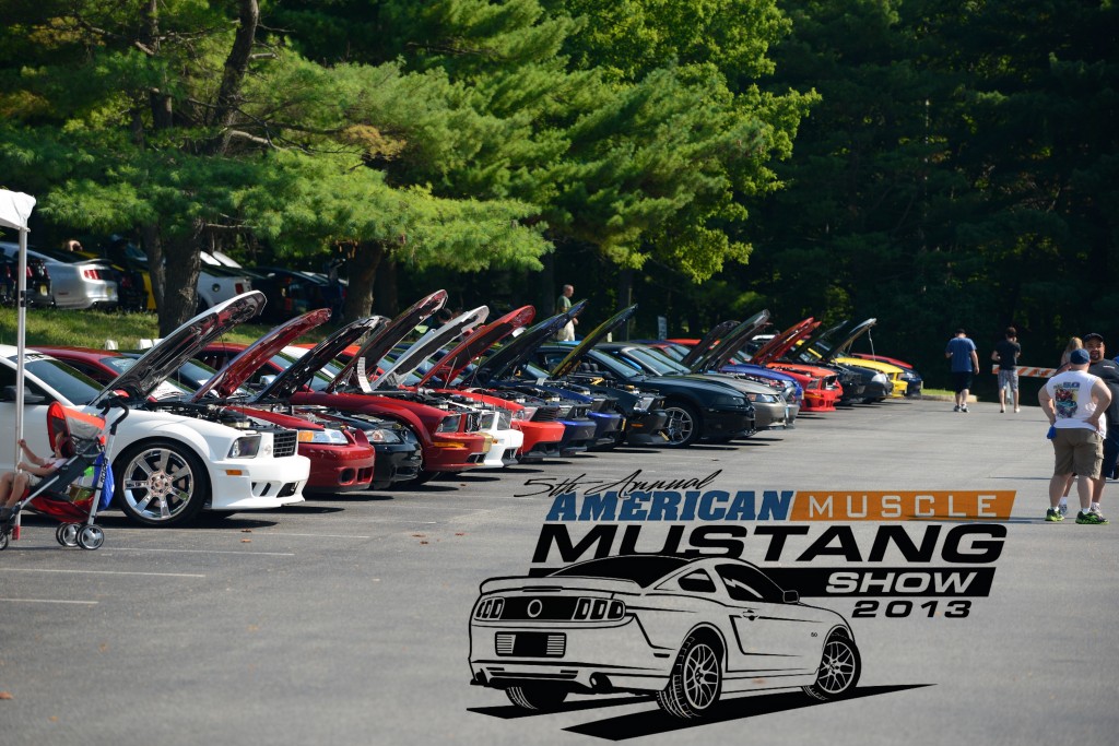 Car Show Mustang Line 2