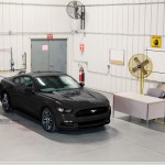 Black 2015 Mustang Black 2015 Mustang