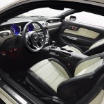 2014.5 Anniversay Ford Mustang Dash 2014.5 Anniversay Ford Mustang Dash