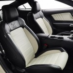 2014.5 Anniversay Ford Mustang Interior 2014.5 Anniversay Ford Mustang Interior