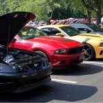 Mustangs at AmericanMuscle Mustang Show Mustangs at AmericanMuscle Mustang Show