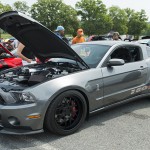 Shelby1000 Shelby1000