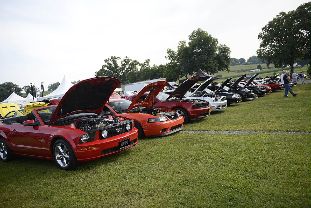 Best In Show How To Win Your Next Car Show Blog